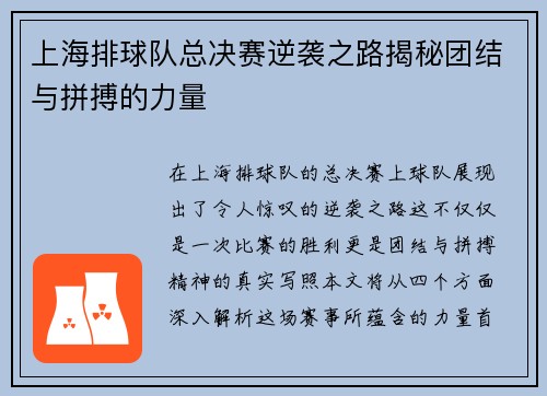 上海排球队总决赛逆袭之路揭秘团结与拼搏的力量