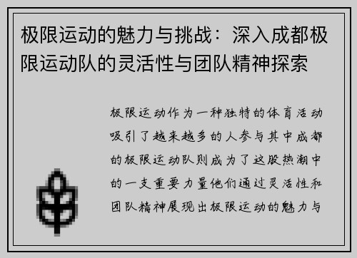 极限运动的魅力与挑战：深入成都极限运动队的灵活性与团队精神探索